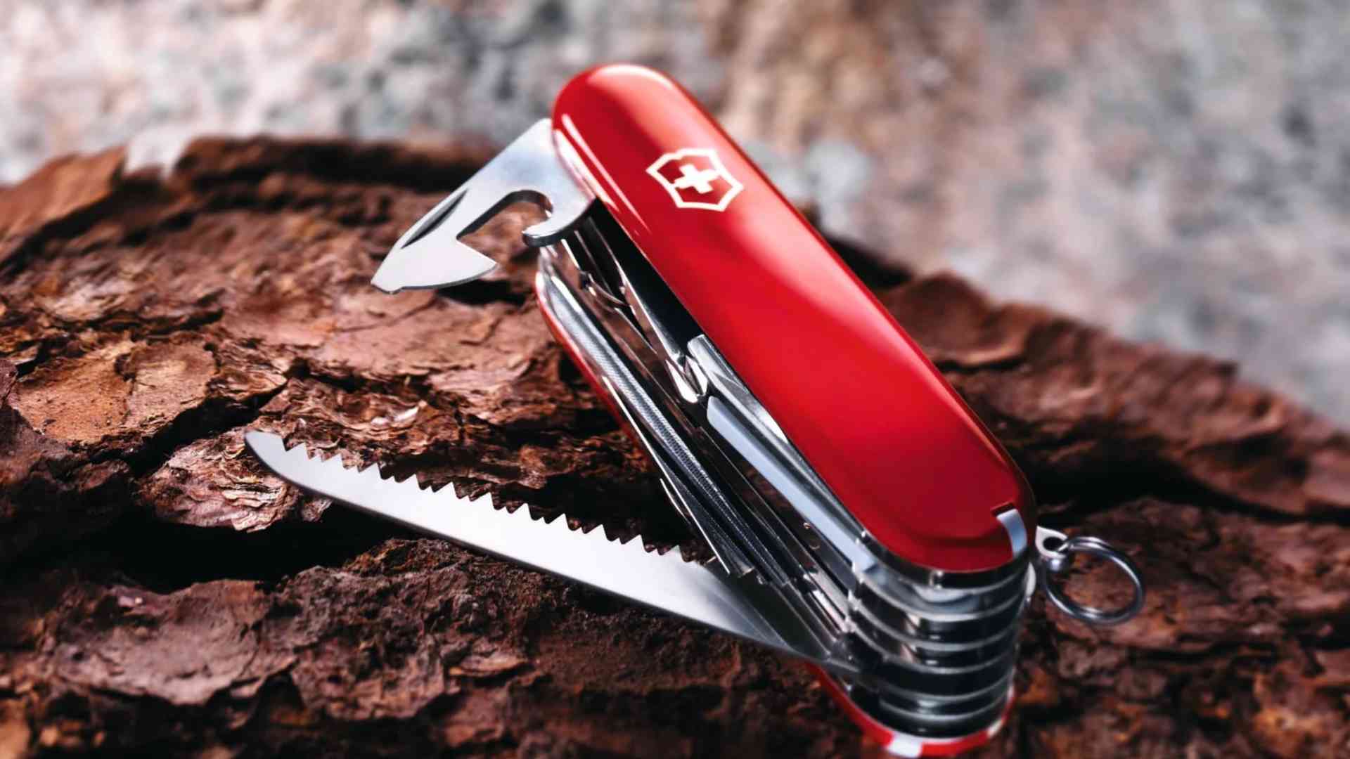 noze victorinox C
